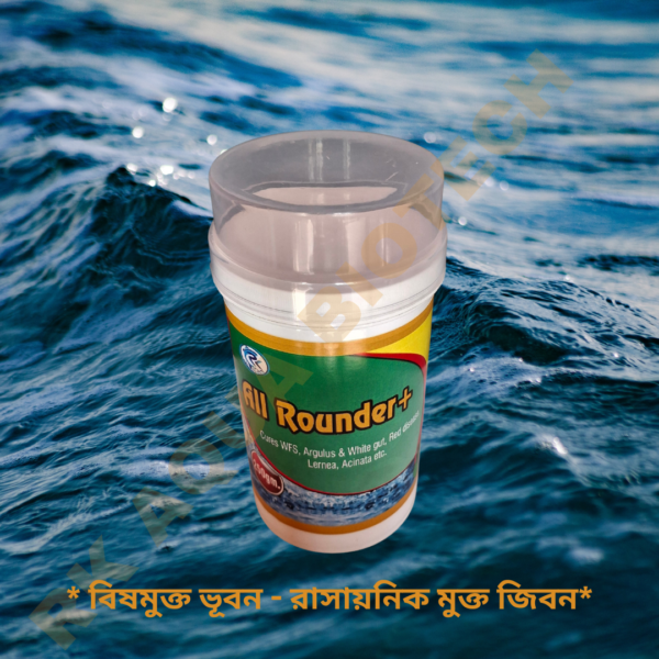 All Rounder+