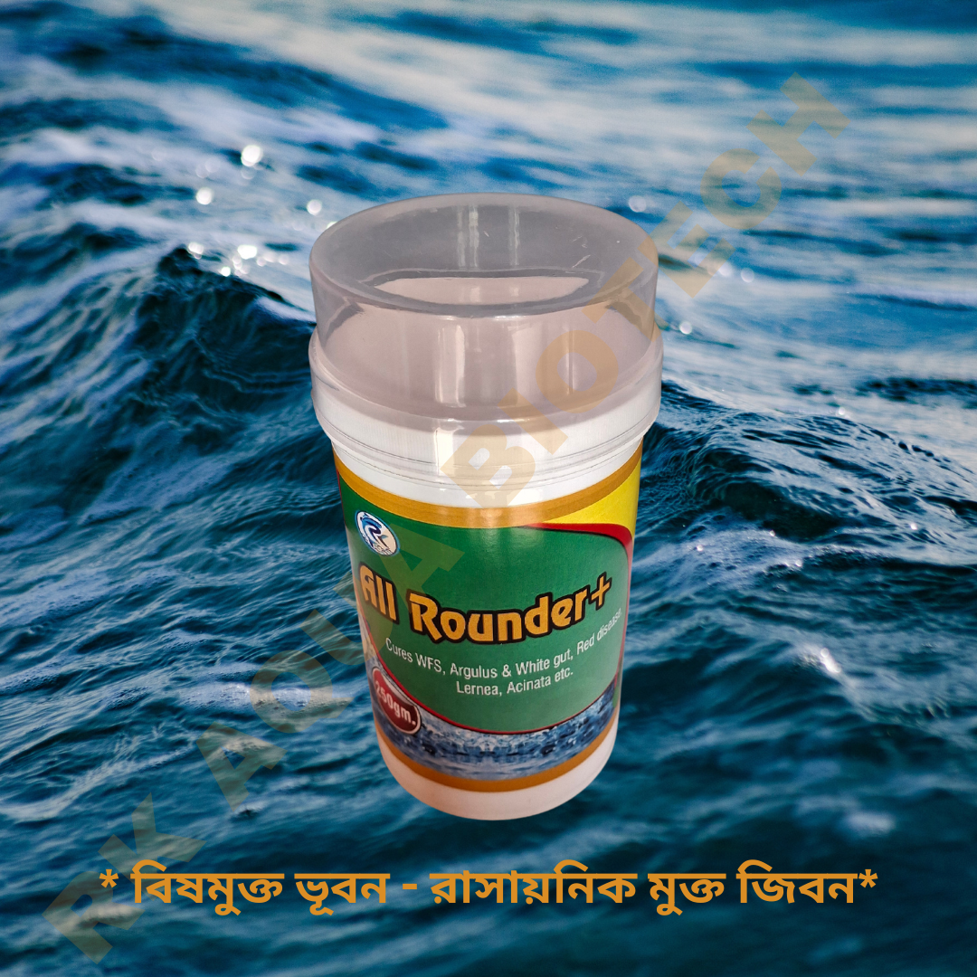 All Rounder+